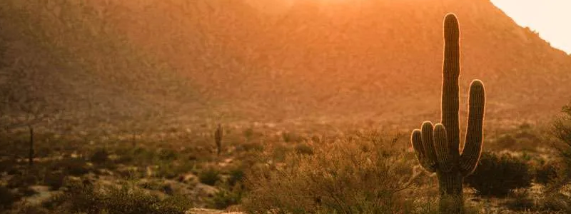 Leia mais sobre o artigo Música: Meu Sertão é Vida