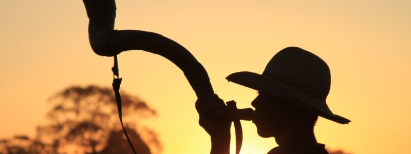 Leia mais sobre o artigo Música: Filho do Berrante